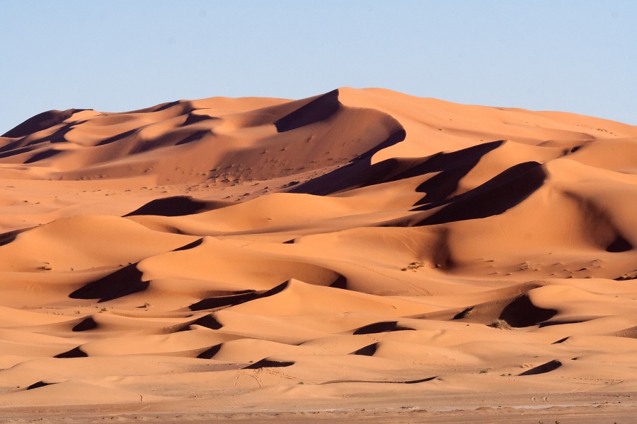 20111121-4072-p3.jpg - 21/11/2011-Merzouga(Maroc)-Dunes