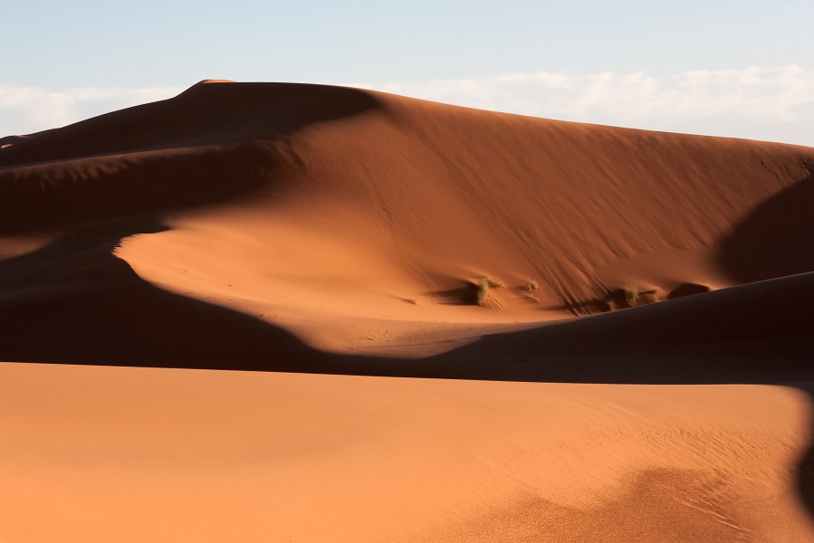 20111121-4109-p4.jpg - 21/11/2011-Merzouga(Maroc)-Dunes