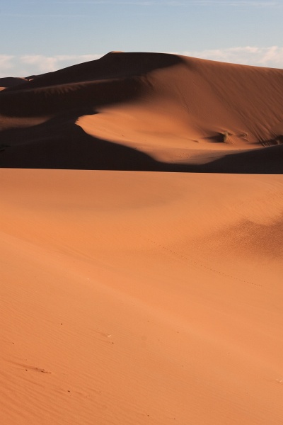 20111121-4110-p4.jpg - 21/11/2011-Merzouga(Maroc)-Dunes
