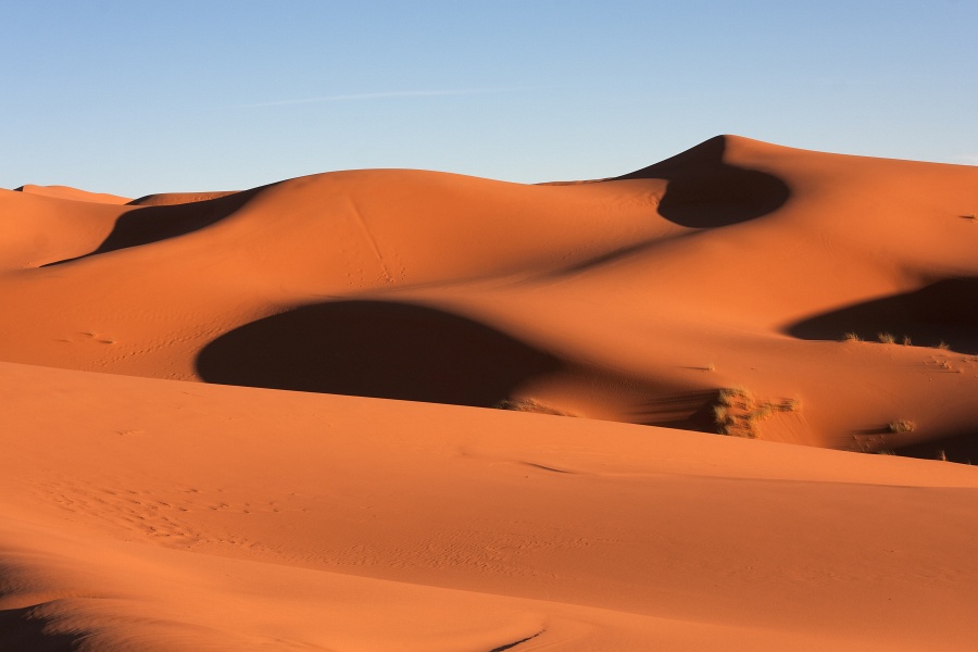 20111121-4114-p4.jpg - 21/11/2011-Merzouga(Maroc)-Dunes