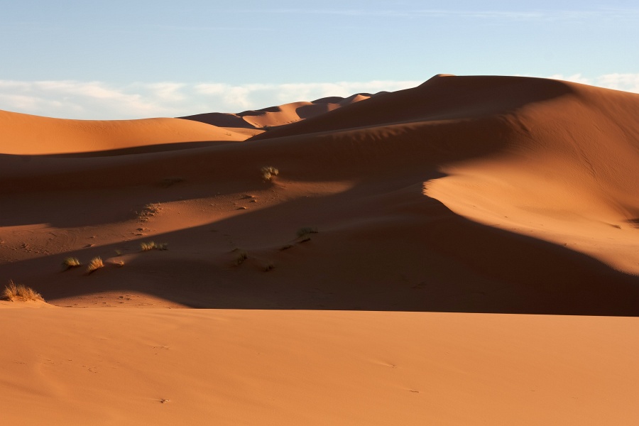 20111121-4115-p4.jpg - 21/11/2011-Merzouga(Maroc)-Dunes