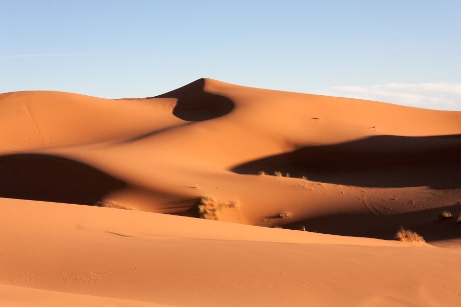 20111121-4117-p4.jpg - 21/11/2011-Merzouga(Maroc)-Dunes