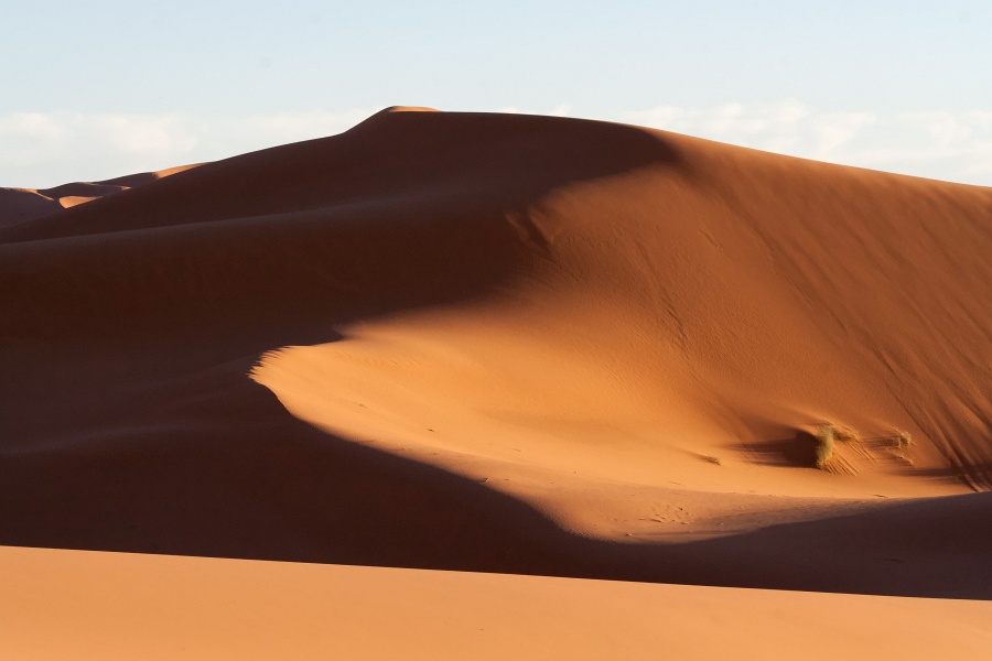 20111121-4118-p3.jpg - 21/11/2011-Merzouga(Maroc)-Dunes