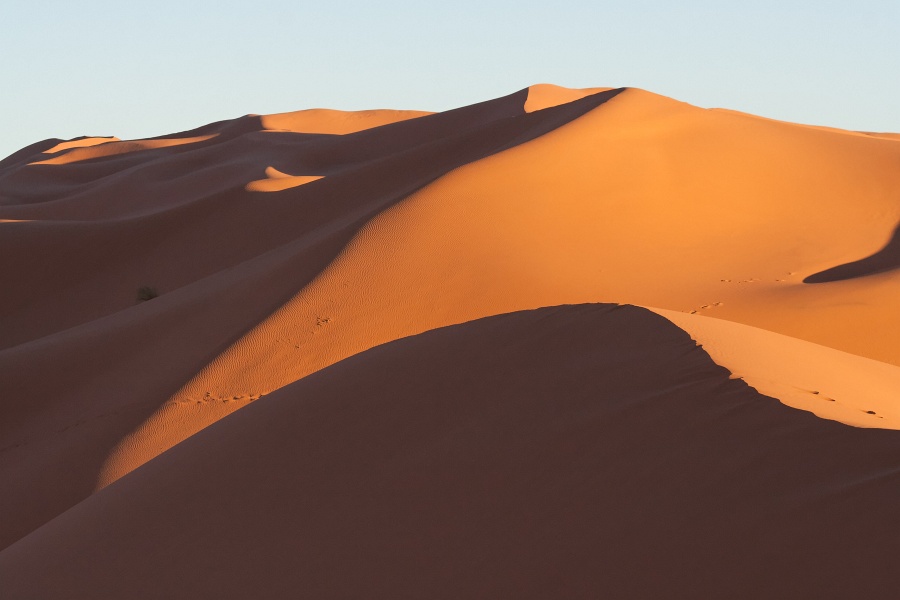 20111121-4119-p3.jpg - 21/11/2011-Merzouga(Maroc)-Dunes