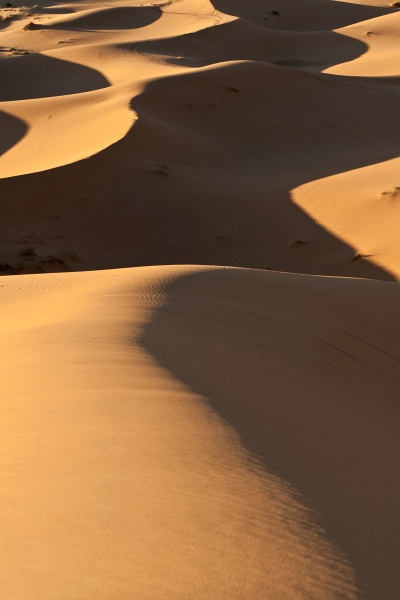 20111121-4120-p3.jpg - 21/11/2011-Merzouga(Maroc)-Dunes