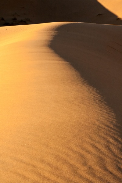 20111121-4121-p3.jpg - 21/11/2011-Merzouga(Maroc)-Dunes