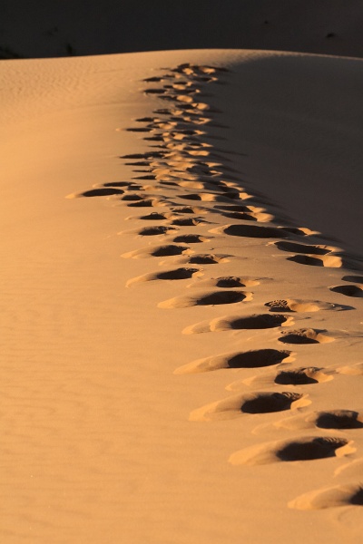 20111121-4130-p3.jpg - 21/11/2011-Merzouga(Maroc)-Dunes