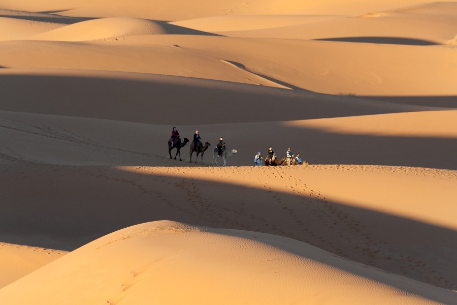 20111121-4134-p3.jpg - 21/11/2011-Merzouga(Maroc)-Dunes