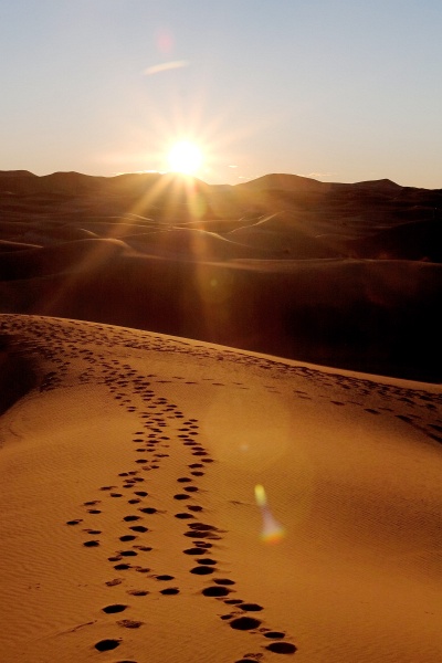 20120122-5011-p4.jpg - 22/01/2012-Merzouga(Maroc)-Lever de soileil