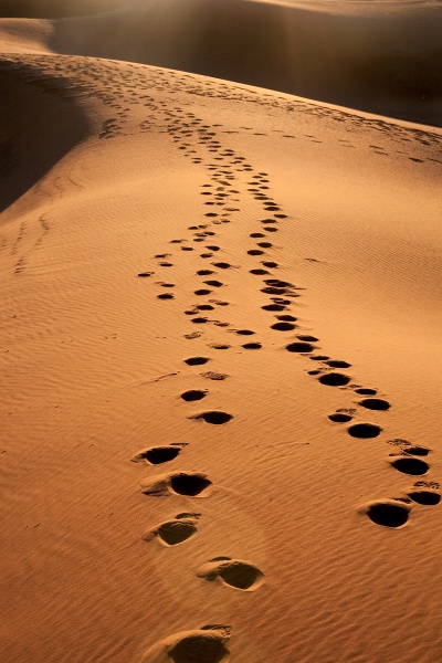 20120122-5023-p4.jpg - 22/01/2012-Merzouga(Maroc)-Les dunes