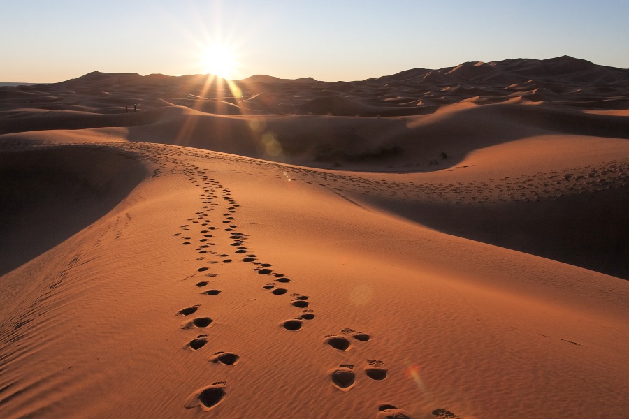 20120122-5024-p4.jpg - 22/01/2012-Merzouga(Maroc)-Les dunes