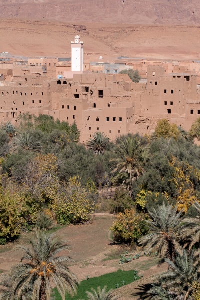 20120122-5049-p3.jpg - 22/01/2012-Tinerhir(Maroc)