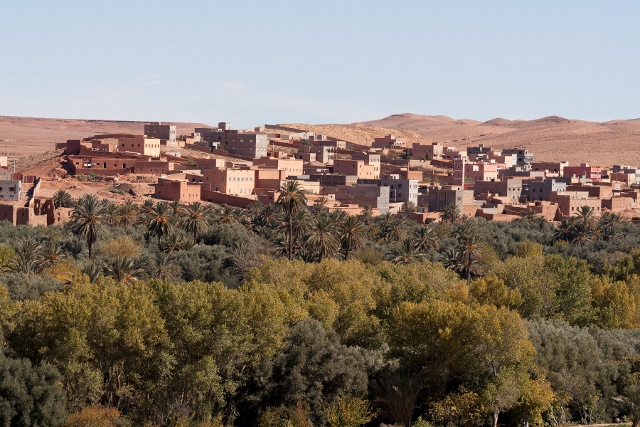 20120122-5052-p3.jpg - 22/01/2012-Tinerhir(Maroc)