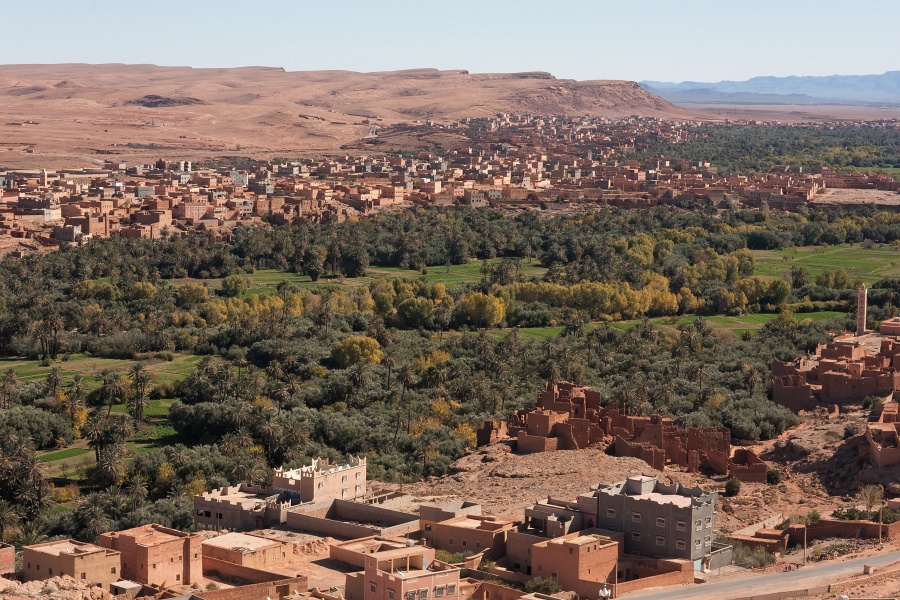 20120122-5063-p4.jpg - 22/01/2012-Tinerhir(Maroc)