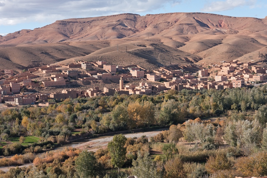 20120122-5078-p4.jpg - 22/01/2012-Sur la route de Ouarzazate