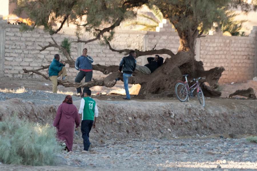 20120122-5080-p3.jpg - 22/01/2012-Palmeraie de Tinerhir (Maroc)