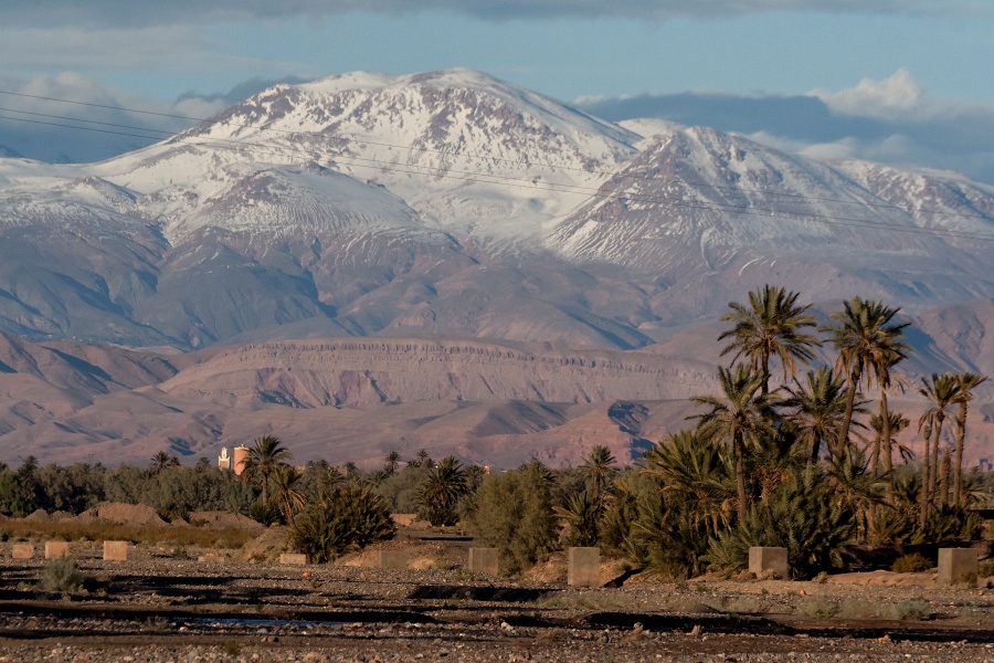 20120122-5082-p3.jpg - 22/01/2012-Palmeraie de Tinerhir (Maroc)