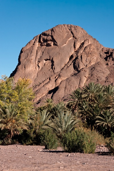 20111123-6018-p4.jpg - 23/11/2011-Ouarzazate-Oasis de Fint