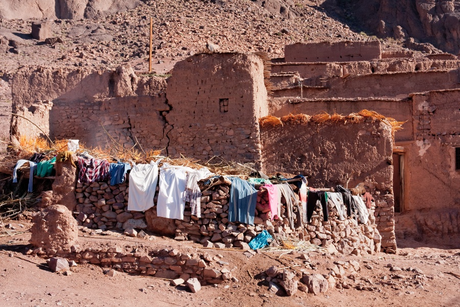 20111123-6029-p4.jpg - 23/11/2011-Ouarzazate-Oasis de Fint