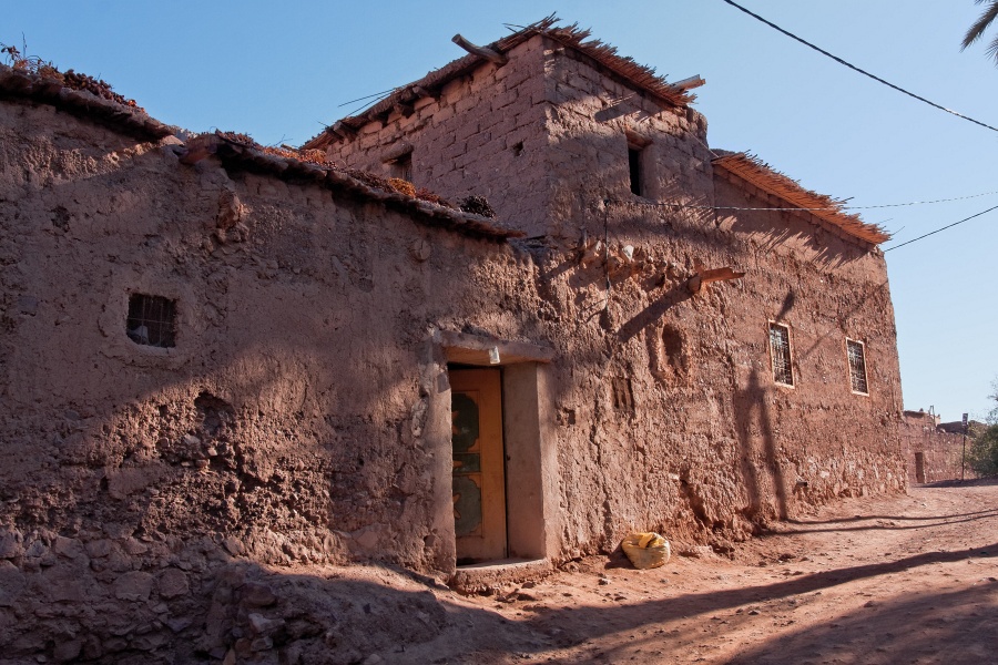 20111123-6031-p4.jpg - 23/11/2011-Ouarzazate-Oasis de Fint