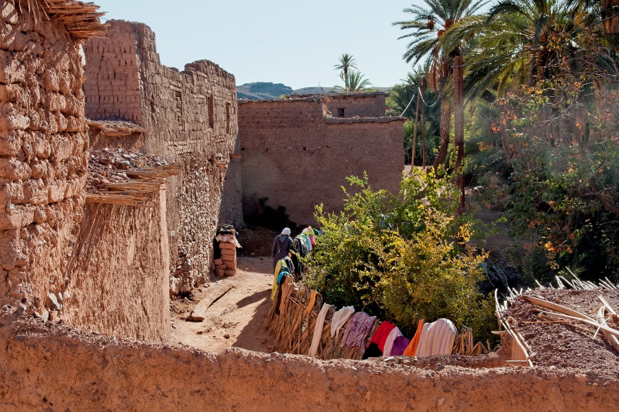 20111123-6035-p4.jpg - 23/11/2011-Ouarzazate-Oasis de Fint