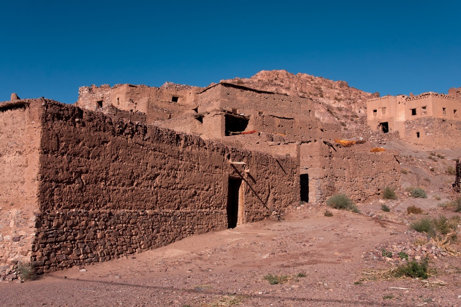 20111123-6039-p4.jpg - 23/11/2011-Ouarzazate-Oasis de Fint