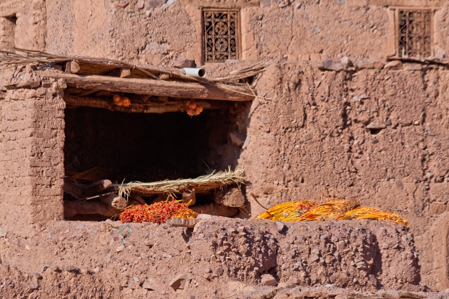 20111123-6043-p3.jpg - 23/11/2011-Ouarzazate-Oasis de Fint