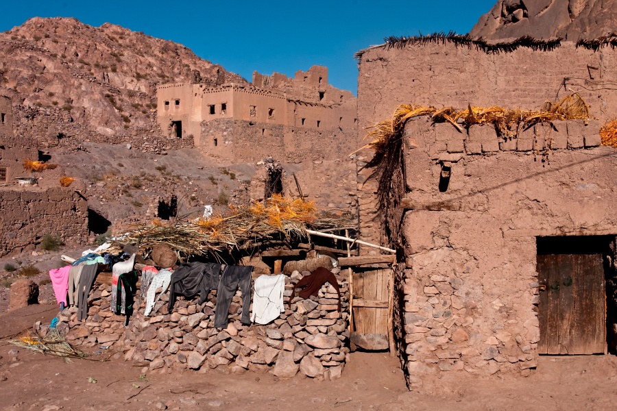 20111123-6044-p4.jpg - 23/11/2011-Ouarzazate-Oasis de Fint
