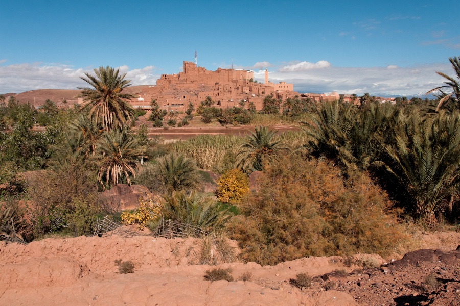20111123-6065-p4.jpg - 23/11/2011-Ouarzazate-Vue sur Ouarzazate