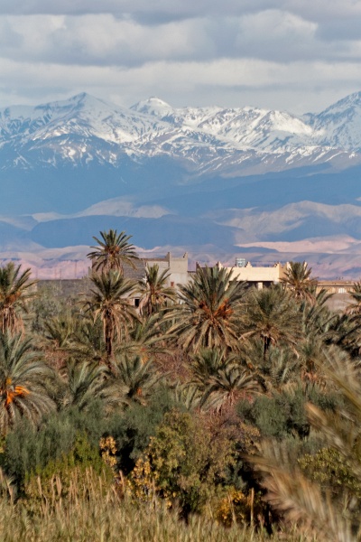 20111123-6070-p3.jpg - 23/11/2011-Ouarzazate-Vue sur Ouarzazate
