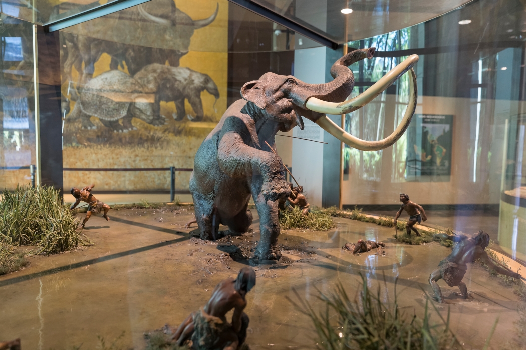 06/04/2014-Mexico-Musée d'anthropologie