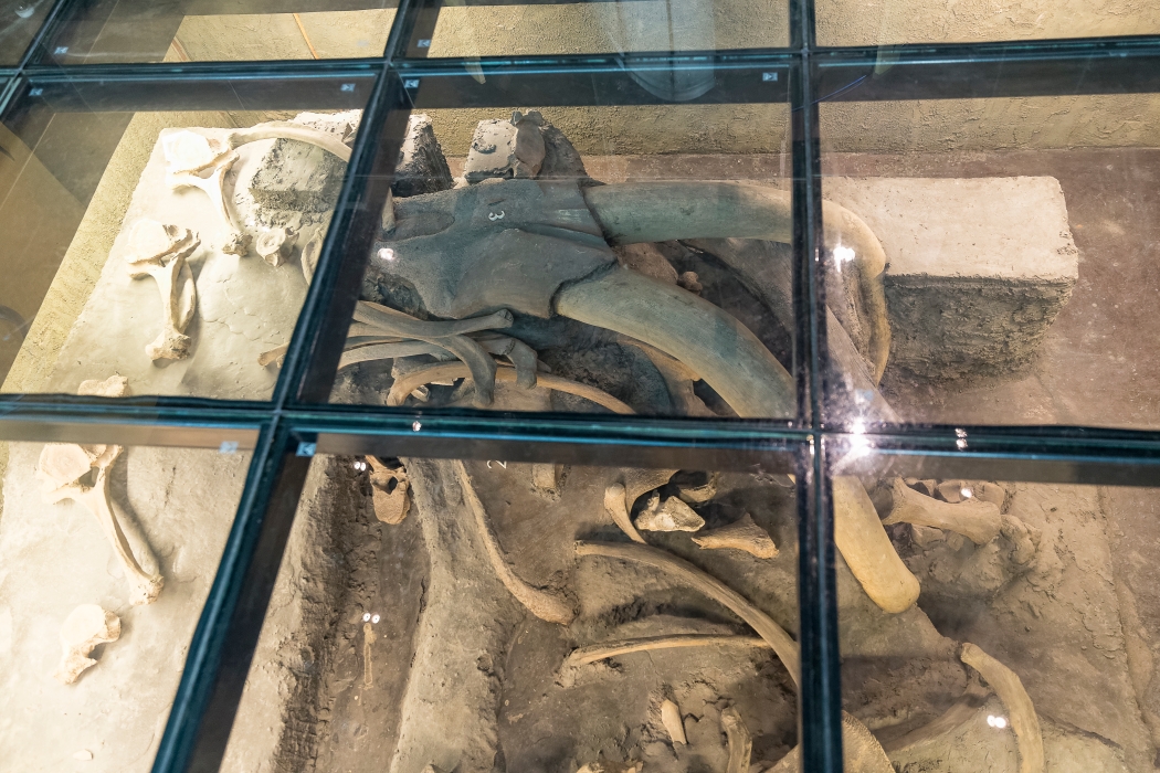 06/04/2014-Mexico-Musée d'anthropologie