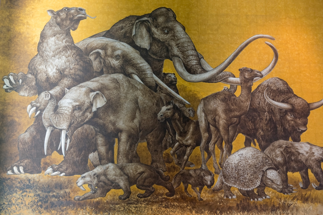 06/04/2014-Mexico-Musée d'anthropologie