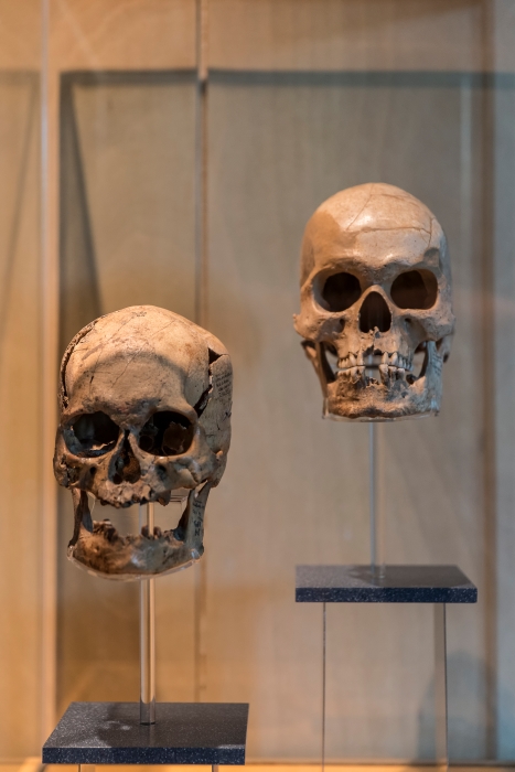 06/04/2014-Mexico-Musée d'anthropologie