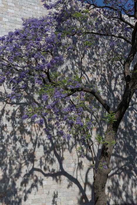 06/04/2014-Mexico-Musée d'anthropologie