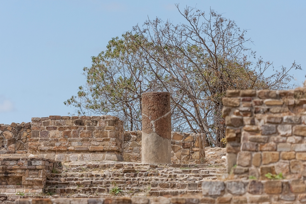 08/04/2014-Oaxaca(Mexique)-Site de monte Alban