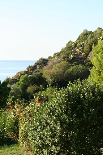 20061023-7064pe.JPG