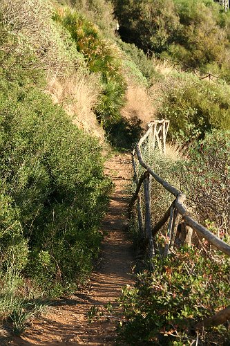 20061023-7075pe.JPG