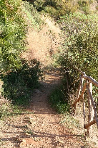 20061023-7076pe.JPG