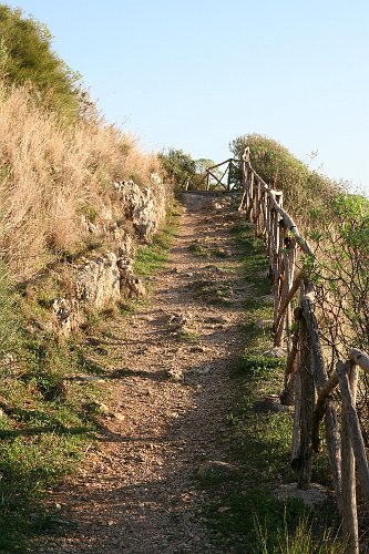 20061023-7083pe.JPG