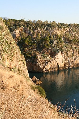 20061023-7088pe.JPG