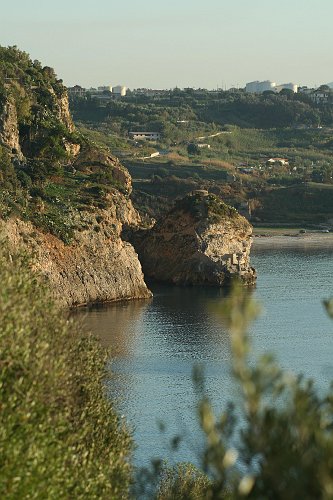 20061023-7096pe.JPG