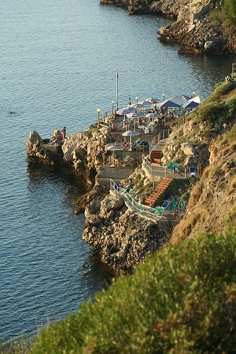 20061023-7108pe.JPG