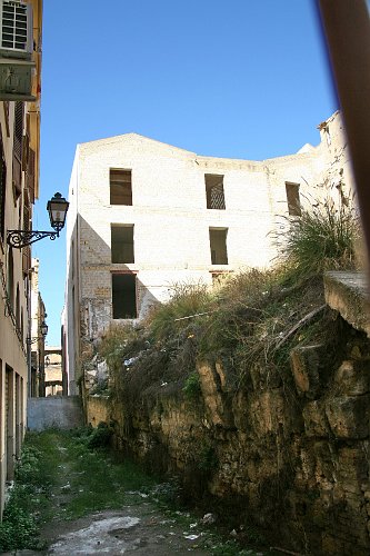 20061023-1051pe.JPG