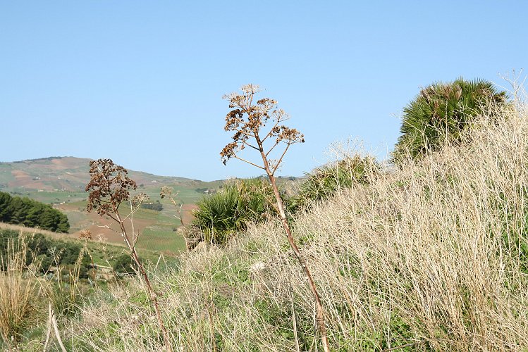 20061026-5061pe.JPG