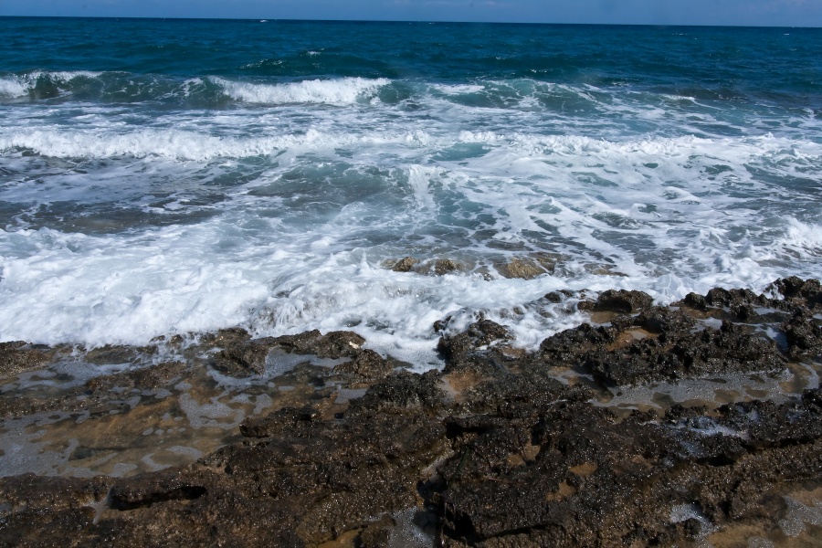 201009-Sicile-6038-p4.jpg - 20/09/2010-Brucoli(Sicile)-Bord de mer