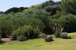 201009-Sicile-6010-p4
