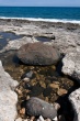 201009-Sicile-6015-p4