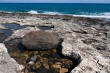 201009-Sicile-6016-p4