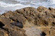 201009-Sicile-6045-p3
